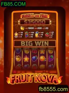 Descubra o Mundo Vibrante de FruitNova: Um Jogo Energizante